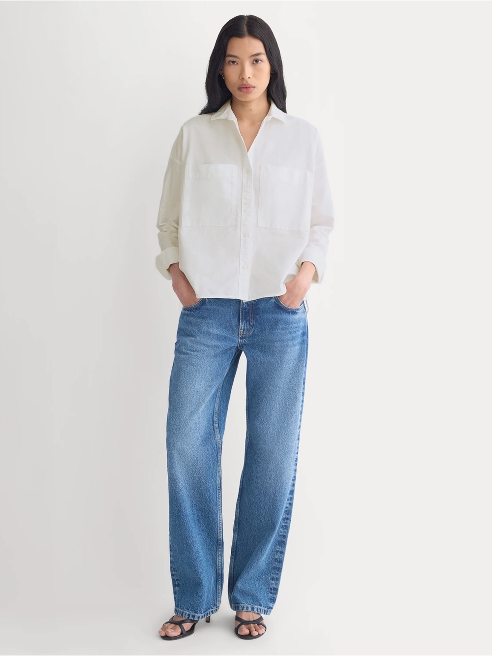 Everlane the boxy oxford shirt